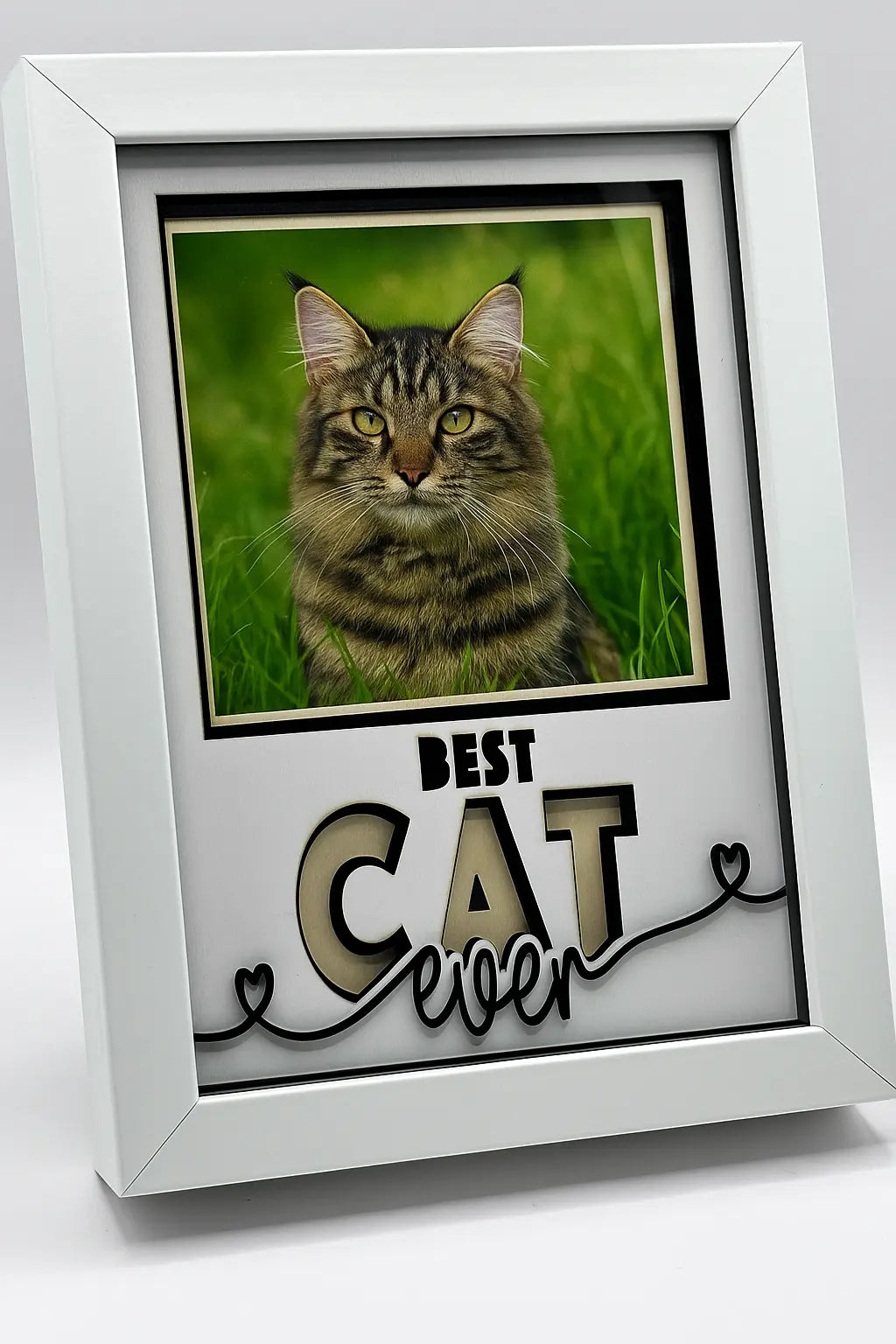 3D fotoram katt med egen bild och Best Cat Ever-text – present till kattälskare