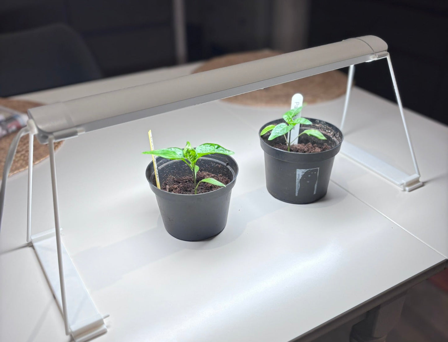 Tillbehör för växtbelysningen Odla LED